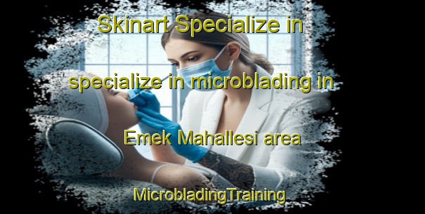 Skinart Specialize in specialize in microblading in Emek Mahallesi area | #MicrobladingTraining #MicrobladingClasses #SkinartTraining-Turkey