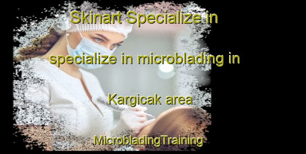 Skinart Specialize in specialize in microblading in Kargicak area | MicrobladingTraining | MicrobladingClasses | SkinartTraining-Turkey