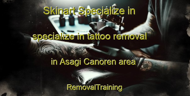 Skinart Specialize in specialize in tattoo removal in Asagi Canoren area | RemovalTraining | RemovalClasses | SkinartTraining-Turkey
