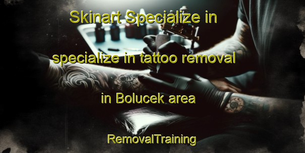 Skinart Specialize in specialize in tattoo removal in Bolucek area | RemovalTraining | RemovalClasses | SkinartTraining-Turkey