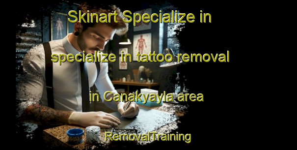 Skinart Specialize in specialize in tattoo removal in Canakyayla area | RemovalTraining | RemovalClasses | SkinartTraining-Turkey
