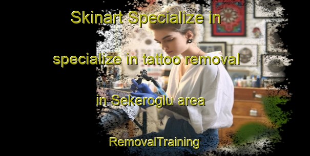Skinart Specialize in specialize in tattoo removal in Sekeroglu area | RemovalTraining | RemovalClasses | SkinartTraining-Turkey