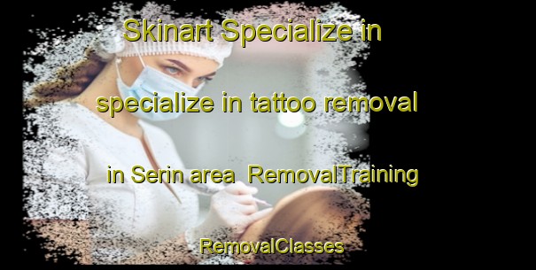 Skinart Specialize in specialize in tattoo removal in Serin area | RemovalTraining | RemovalClasses | SkinartTraining-Turkey