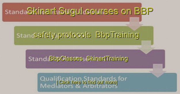 Skinart Sugul courses on BBP safety protocols | BbpTraining | BbpClasses | SkinartTraining-Turkey