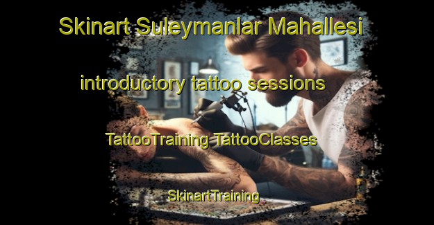 Skinart Suleymanlar Mahallesi introductory tattoo sessions | #TattooTraining #TattooClasses #SkinartTraining-Turkey