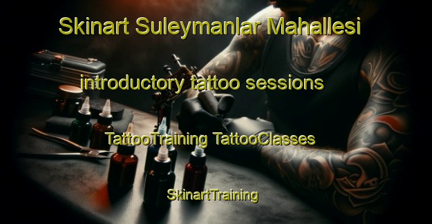 Skinart Suleymanlar Mahallesi introductory tattoo sessions | #TattooTraining #TattooClasses #SkinartTraining-Turkey