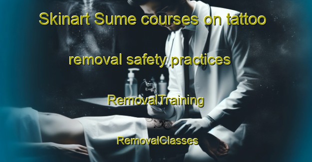 Skinart Sume courses on tattoo removal safety practices | RemovalTraining | RemovalClasses | SkinartTraining-Turkey