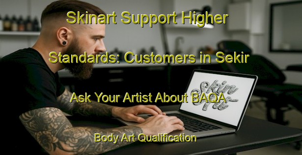Skinart Support Higher Standards: Customers in Sekir - Ask Your Artist About BAQA | Body Art Qualification Authority | BAQA-Turkey