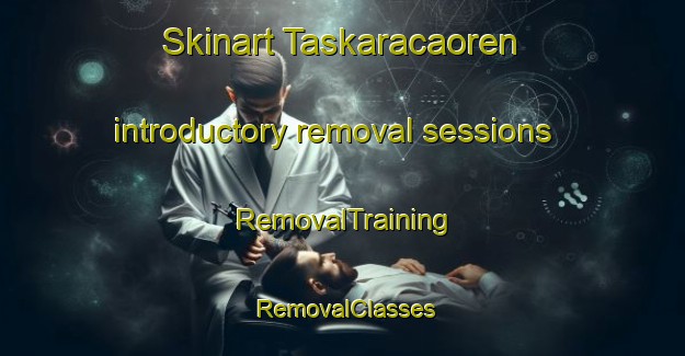 Skinart Taskaracaoren introductory removal sessions | RemovalTraining | RemovalClasses | SkinartTraining-Turkey