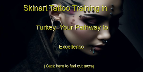 Skinart Tattoo Training in Turkey | Your Pathway to Excellence-Turkey