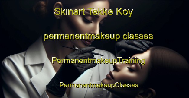 Skinart Tekke Koy permanentmakeup classes | #PermanentmakeupTraining #PermanentmakeupClasses #SkinartTraining-Turkey