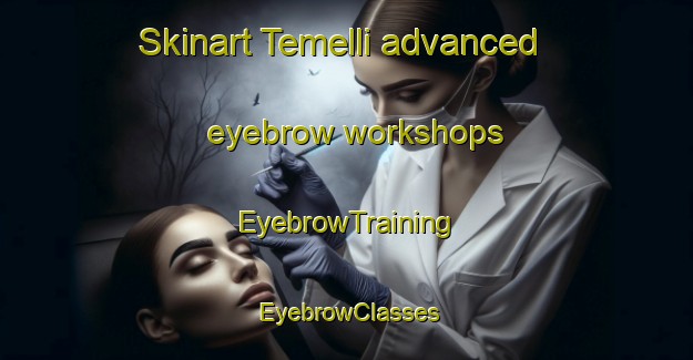 Skinart Temelli advanced eyebrow workshops | EyebrowTraining | EyebrowClasses | SkinartTraining-Turkey