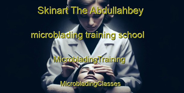 Skinart The Abdullahbey microblading training school | MicrobladingTraining | MicrobladingClasses | SkinartTraining-Turkey