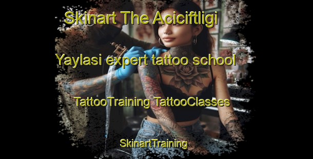 Skinart The Aciciftligi Yaylasi expert tattoo school | #TattooTraining #TattooClasses #SkinartTraining-Turkey