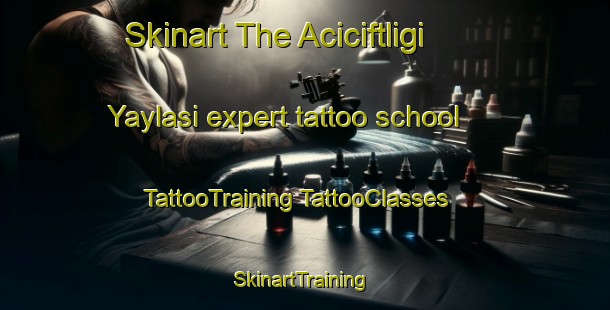 Skinart The Aciciftligi Yaylasi expert tattoo school | #TattooTraining #TattooClasses #SkinartTraining-Turkey