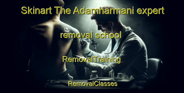 Skinart The Adamharmani expert removal school | RemovalTraining | RemovalClasses | SkinartTraining-Turkey