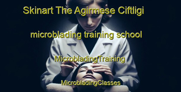 Skinart The Agirmese Ciftligi microblading training school | #MicrobladingTraining #MicrobladingClasses #SkinartTraining-Turkey