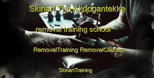 Skinart The Akdogantekke removal training school | #RemovalTraining #RemovalClasses #SkinartTraining-Turkey