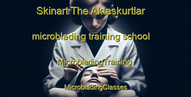 Skinart The Aktaskurtlar microblading training school | #MicrobladingTraining #MicrobladingClasses #SkinartTraining-Turkey