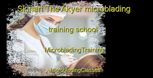 Skinart The Akyer microblading training school | MicrobladingTraining | MicrobladingClasses | SkinartTraining-Turkey