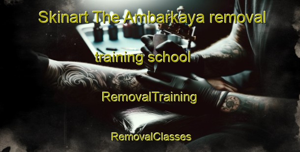 Skinart The Ambarkaya removal training school | RemovalTraining | RemovalClasses | SkinartTraining-Turkey