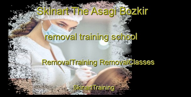 Skinart The Asagi Bozkir removal training school | #RemovalTraining #RemovalClasses #SkinartTraining-Turkey