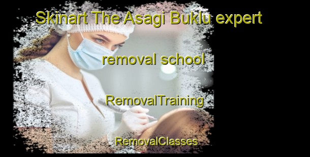 Skinart The Asagi Buklu expert removal school | RemovalTraining | RemovalClasses | SkinartTraining-Turkey