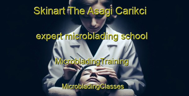 Skinart The Asagi Carikci expert microblading school | MicrobladingTraining | MicrobladingClasses | SkinartTraining-Turkey