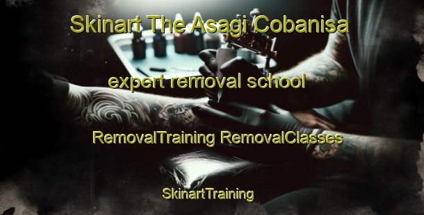 Skinart The Asagi Cobanisa expert removal school | #RemovalTraining #RemovalClasses #SkinartTraining-Turkey