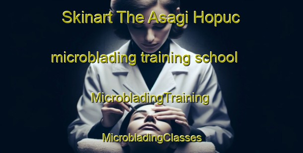 Skinart The Asagi Hopuc microblading training school | #MicrobladingTraining #MicrobladingClasses #SkinartTraining-Turkey