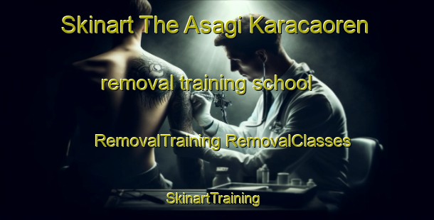 Skinart The Asagi Karacaoren removal training school | #RemovalTraining #RemovalClasses #SkinartTraining-Turkey