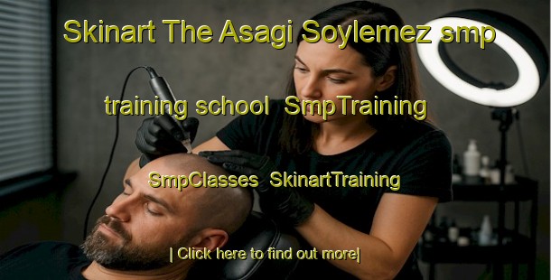 Skinart The Asagi Soylemez smp training school | SmpTraining | SmpClasses | SkinartTraining-Turkey