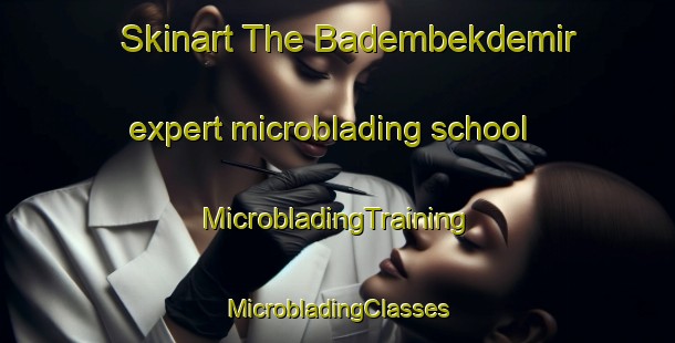 Skinart The Badembekdemir expert microblading school | #MicrobladingTraining #MicrobladingClasses #SkinartTraining-Turkey