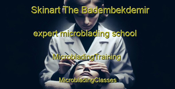 Skinart The Badembekdemir expert microblading school | #MicrobladingTraining #MicrobladingClasses #SkinartTraining-Turkey