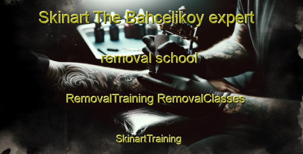 Skinart The Bahcelikoy expert removal school | #RemovalTraining #RemovalClasses #SkinartTraining-Turkey