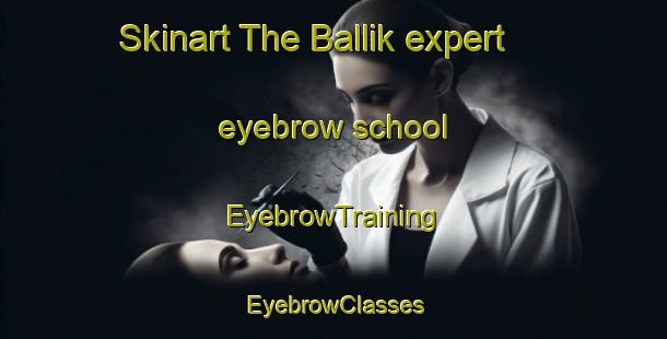 Skinart The Ballik expert eyebrow school | EyebrowTraining | EyebrowClasses | SkinartTraining-Turkey
