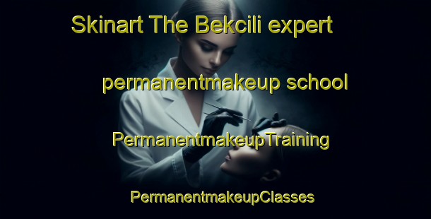 Skinart The Bekcili expert permanentmakeup school | PermanentmakeupTraining | PermanentmakeupClasses | SkinartTraining-Turkey
