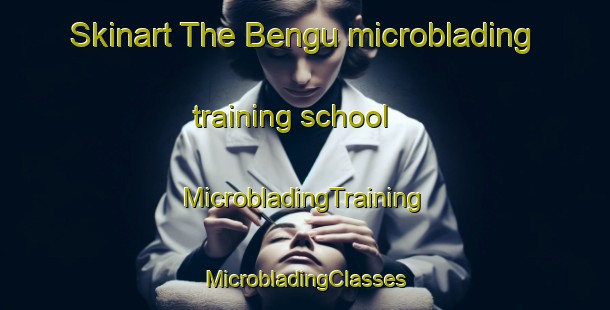 Skinart The Bengu microblading training school | #MicrobladingTraining #MicrobladingClasses #SkinartTraining-Turkey