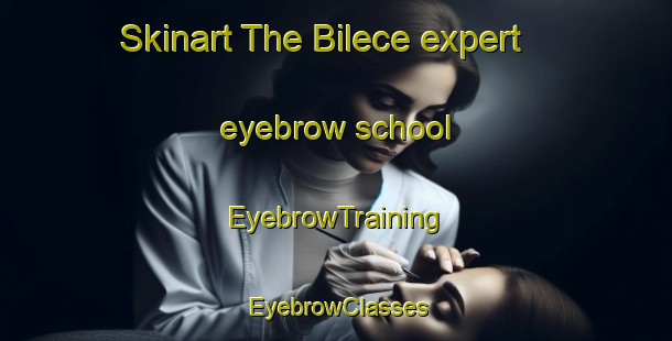 Skinart The Bilece expert eyebrow school | EyebrowTraining | EyebrowClasses | SkinartTraining-Turkey