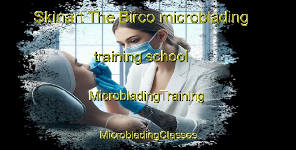 Skinart The Birco microblading training school | #MicrobladingTraining #MicrobladingClasses #SkinartTraining-Turkey