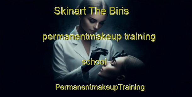 Skinart The Biris permanentmakeup training school | #PermanentmakeupTraining #PermanentmakeupClasses #SkinartTraining-Turkey