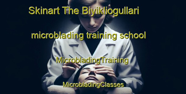 Skinart The Biyikliogullari microblading training school | #MicrobladingTraining #MicrobladingClasses #SkinartTraining-Turkey