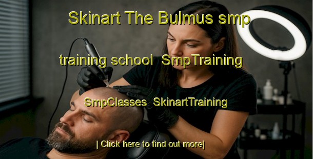 Skinart The Bulmus smp training school | SmpTraining | SmpClasses | SkinartTraining-Turkey