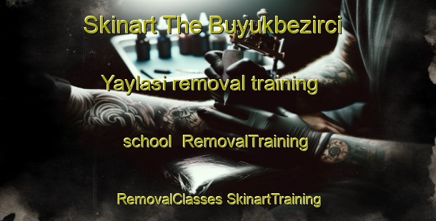 Skinart The Buyukbezirci Yaylasi removal training school | #RemovalTraining #RemovalClasses #SkinartTraining-Turkey