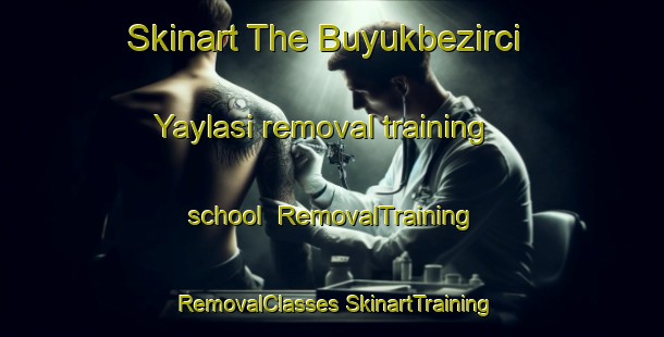 Skinart The Buyukbezirci Yaylasi removal training school | #RemovalTraining #RemovalClasses #SkinartTraining-Turkey