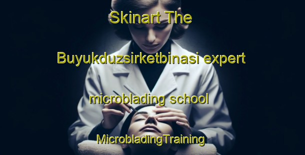 Skinart The Buyukduzsirketbinasi expert microblading school | #MicrobladingTraining #MicrobladingClasses #SkinartTraining-Turkey