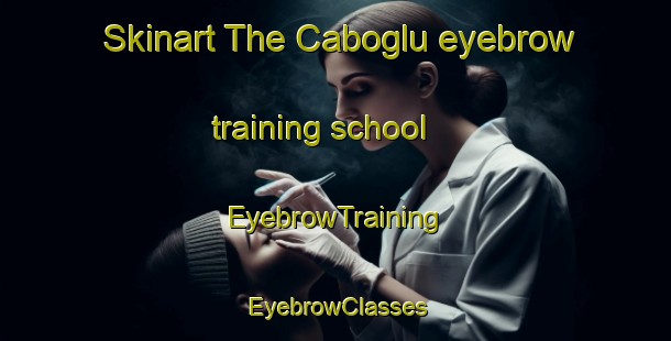 Skinart The Caboglu eyebrow training school | EyebrowTraining | EyebrowClasses | SkinartTraining-Turkey