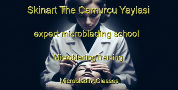 Skinart The Camurcu Yaylasi expert microblading school | #MicrobladingTraining #MicrobladingClasses #SkinartTraining-Turkey