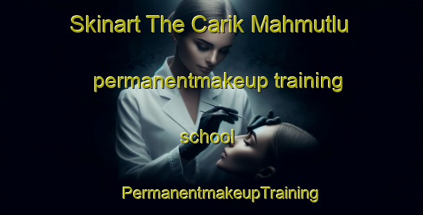 Skinart The Carik Mahmutlu permanentmakeup training school | #PermanentmakeupTraining #PermanentmakeupClasses #SkinartTraining-Turkey