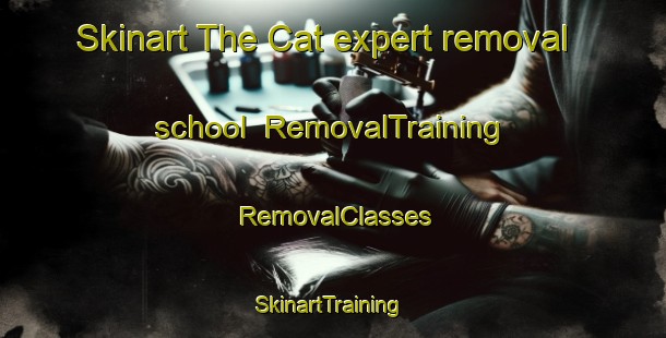Skinart The Cat expert removal school | RemovalTraining | RemovalClasses | SkinartTraining-Turkey